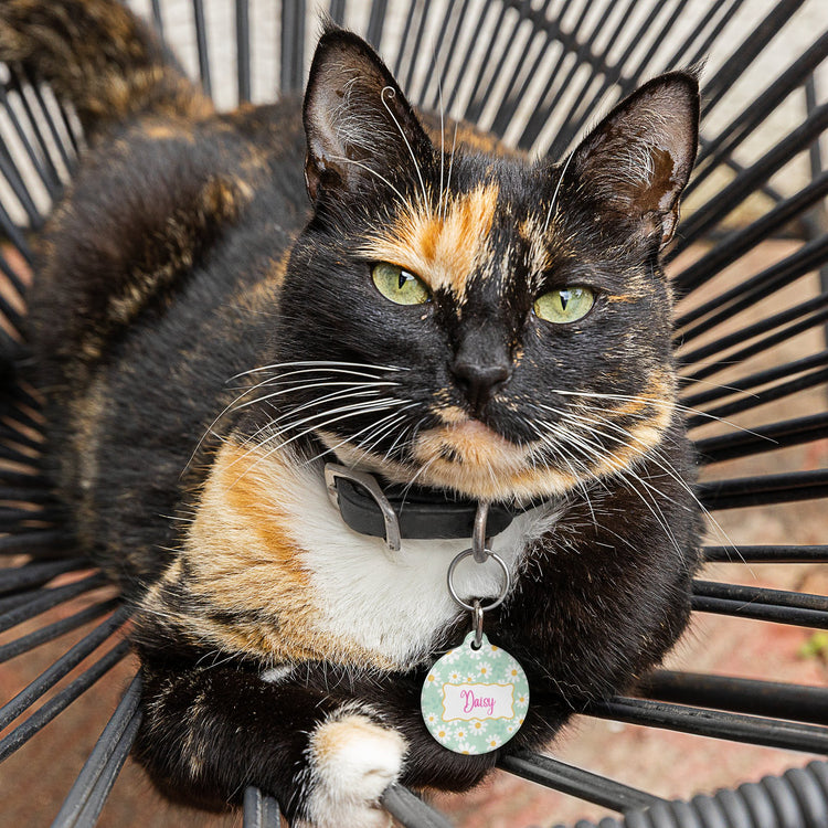 Super Cool Pet Tags!