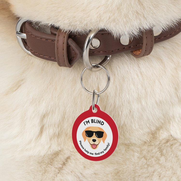 Personalized Medical Tags for dogs or cats that are: deaf, blind, epilepsy, addison disease, diabetic, on medication, on special diet, kidney disease, service dogs and others. For a specific tag do not hesitate to contact us to see if we can help you!