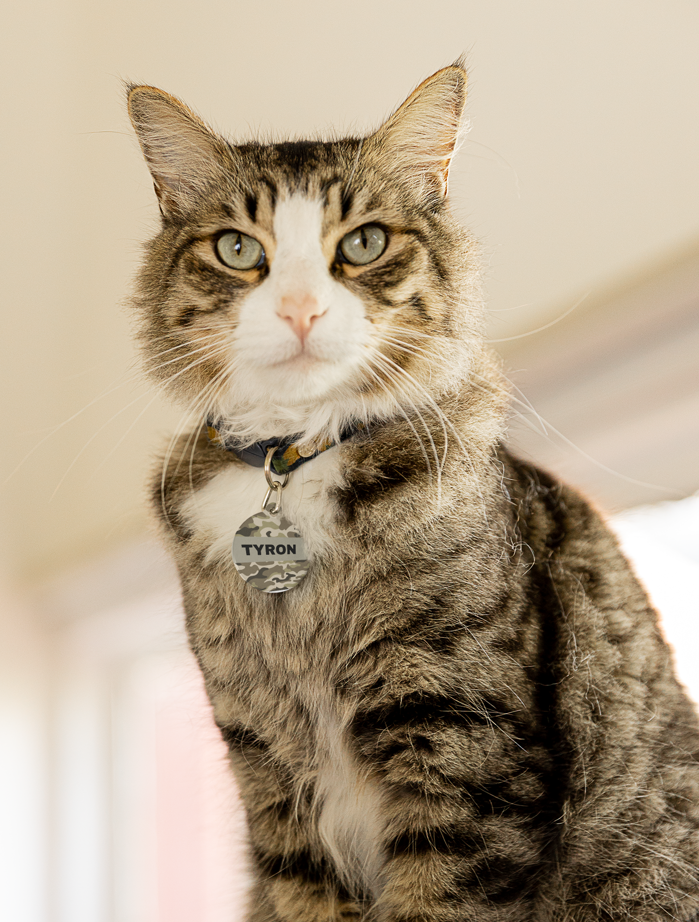 Pet Tag Camuflage Id Tag