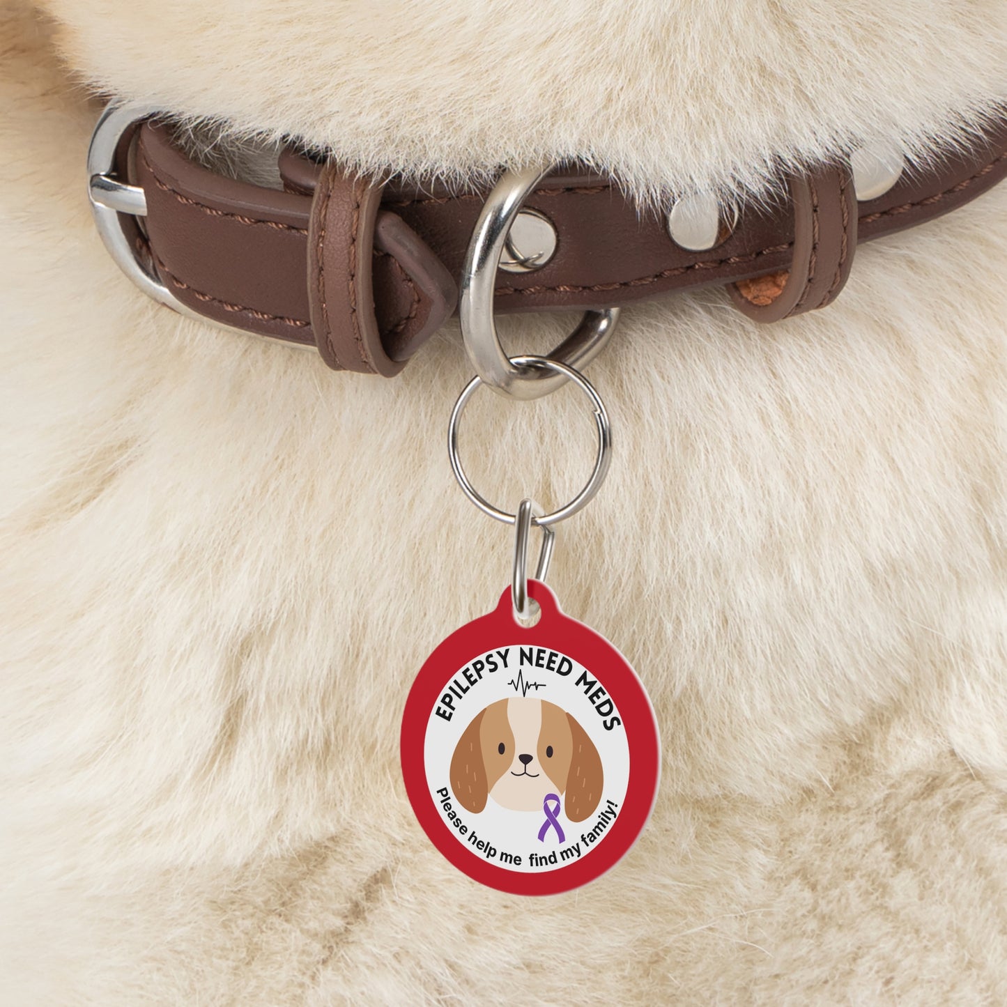 Pet Id Tag - Medical Tag for Dogs with Epilepsy