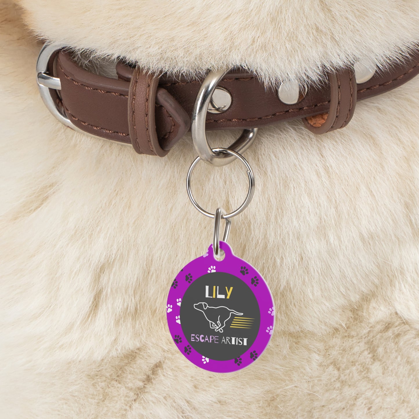 Pet Tag - Escape Artist in Purple