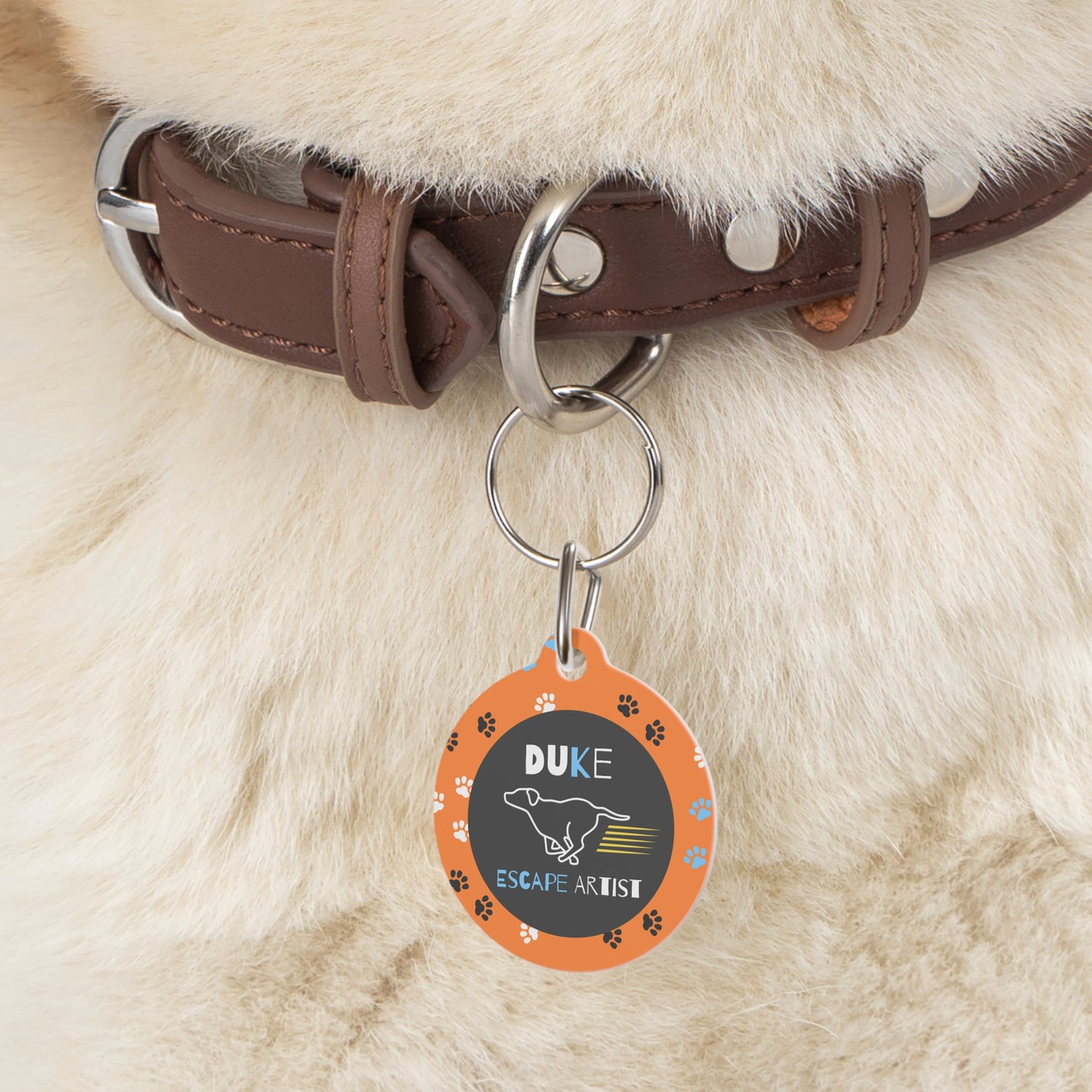 Pet Tag - Escape Artist in Orange