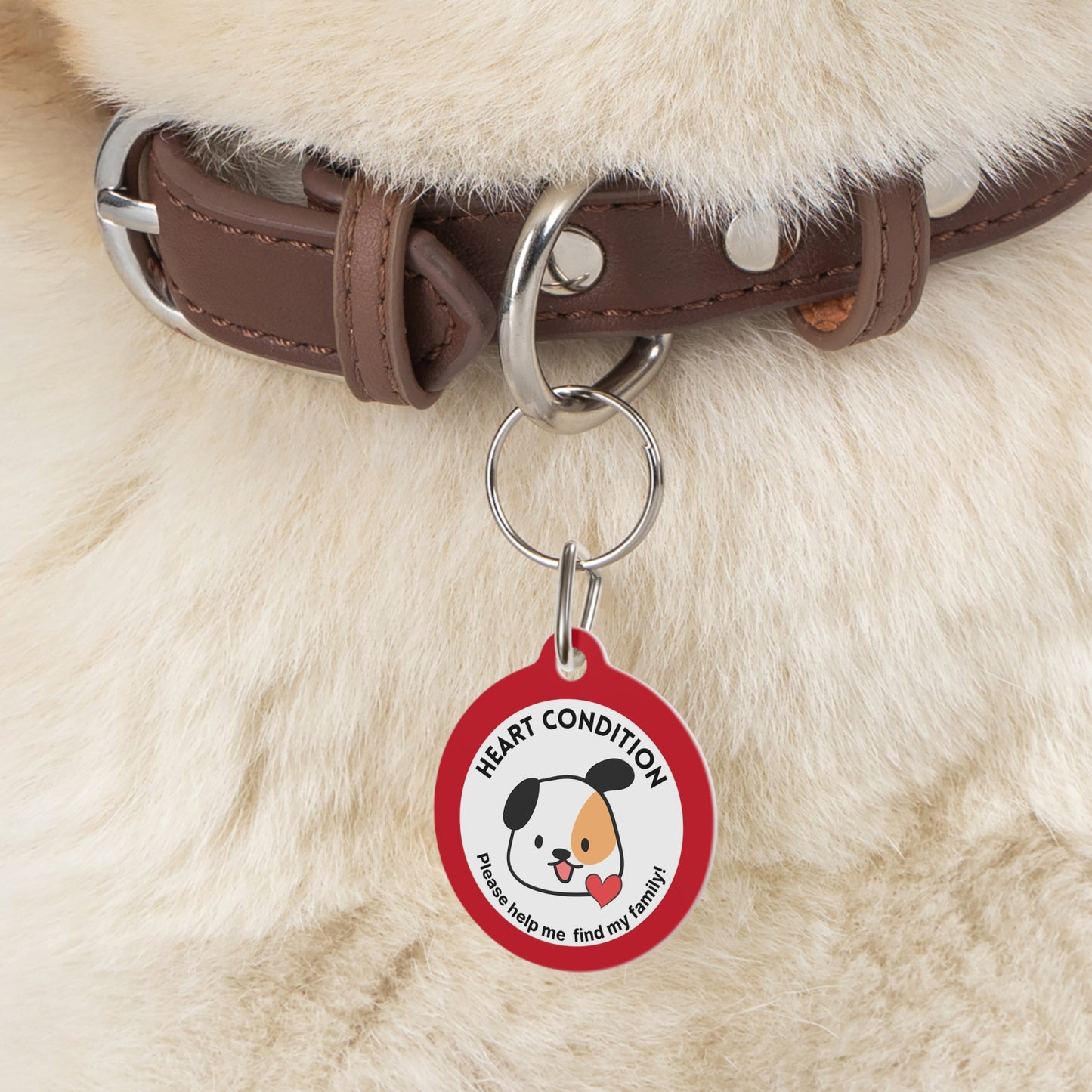 Pet Tag - Medical Id for Dogs with Heart Condition