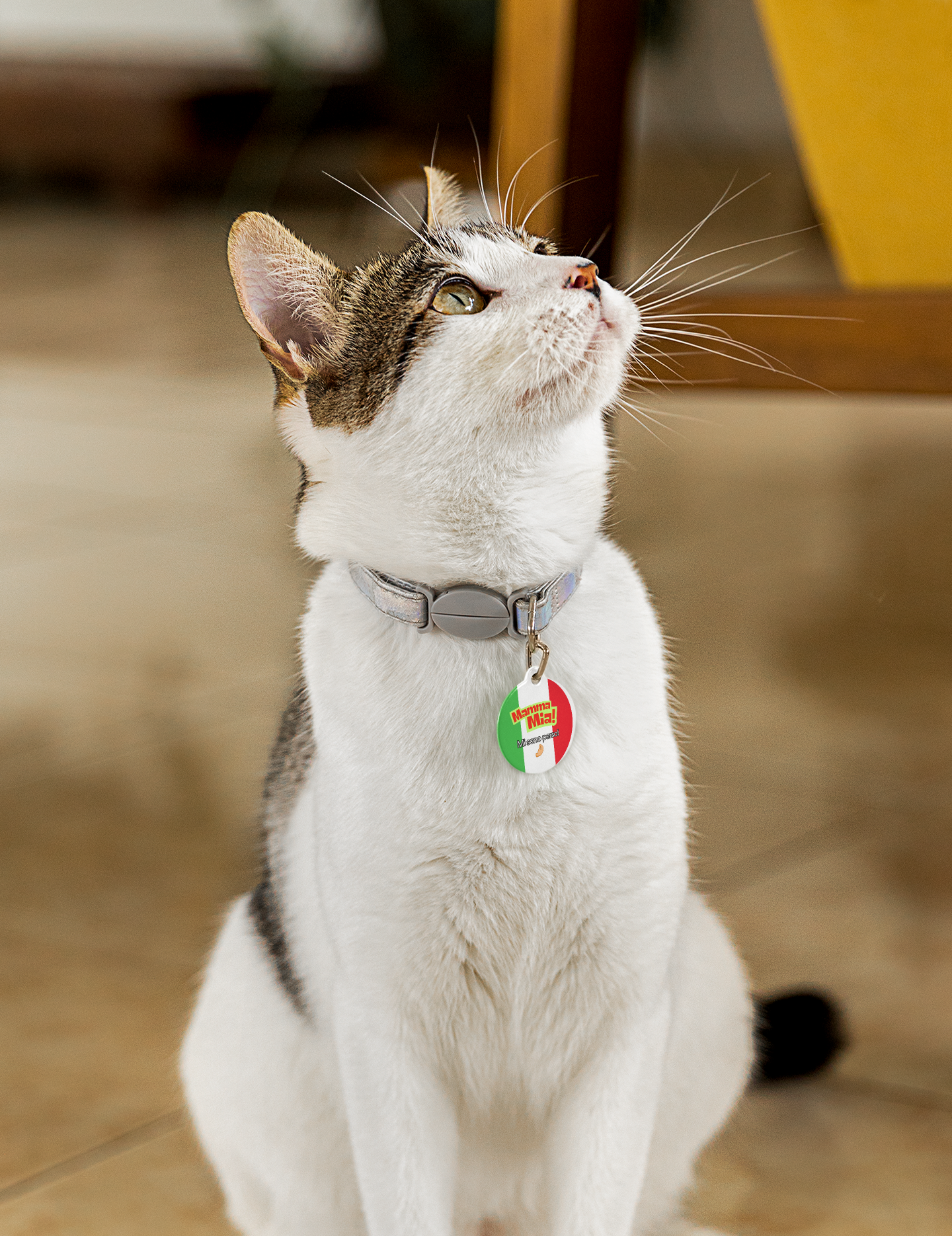Pet Tag - Mamma Mia Funny Italian Pet ID Tag