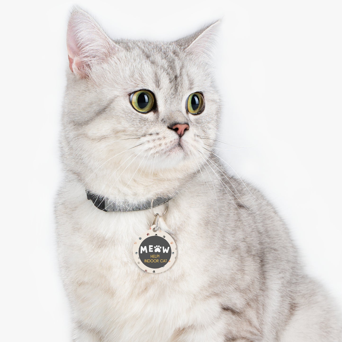 Cat Tag - Meow Indoor Cat Help!