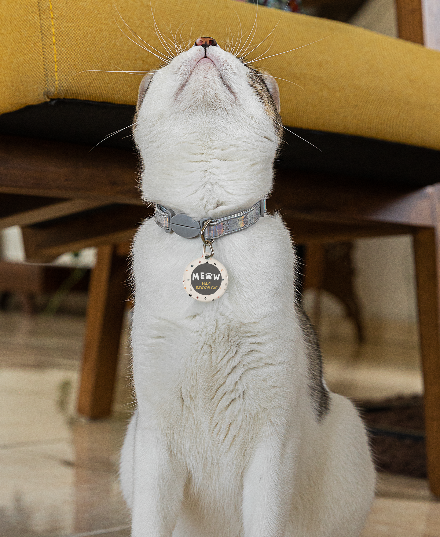 Cat Tag - Meow Indoor Cat Help!
