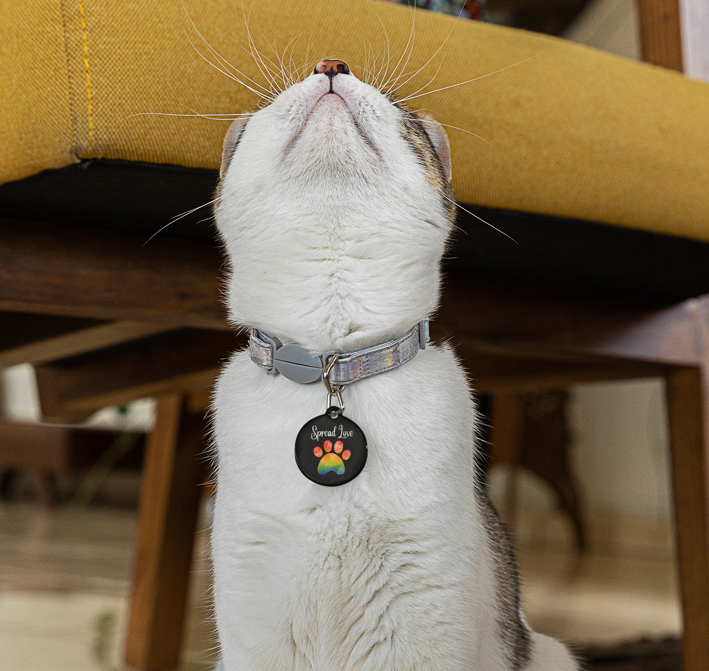 Pet Tag - Rainbow Paw Print Spread Love