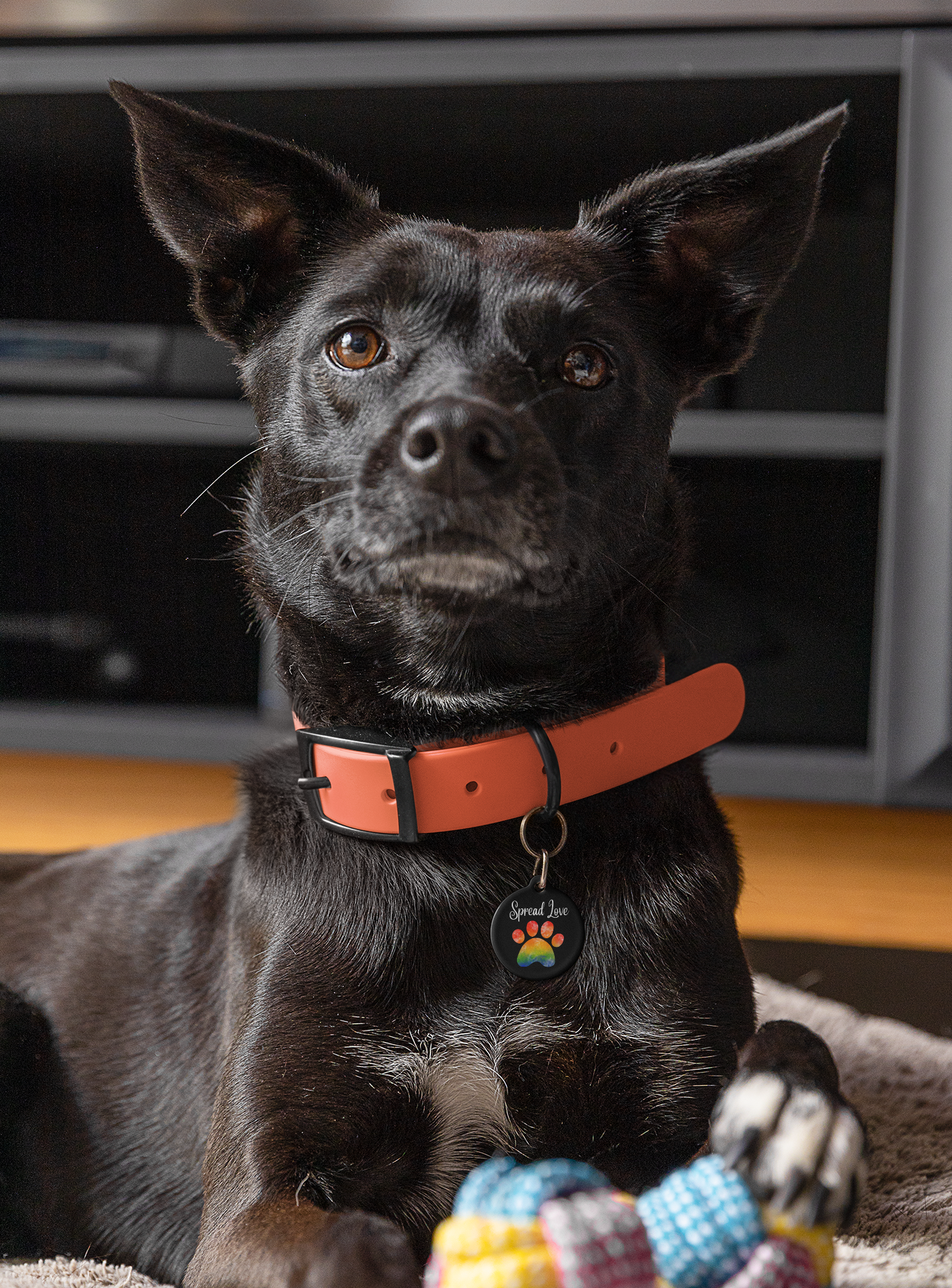 Pet Tag - Rainbow Paw Print Spread Love