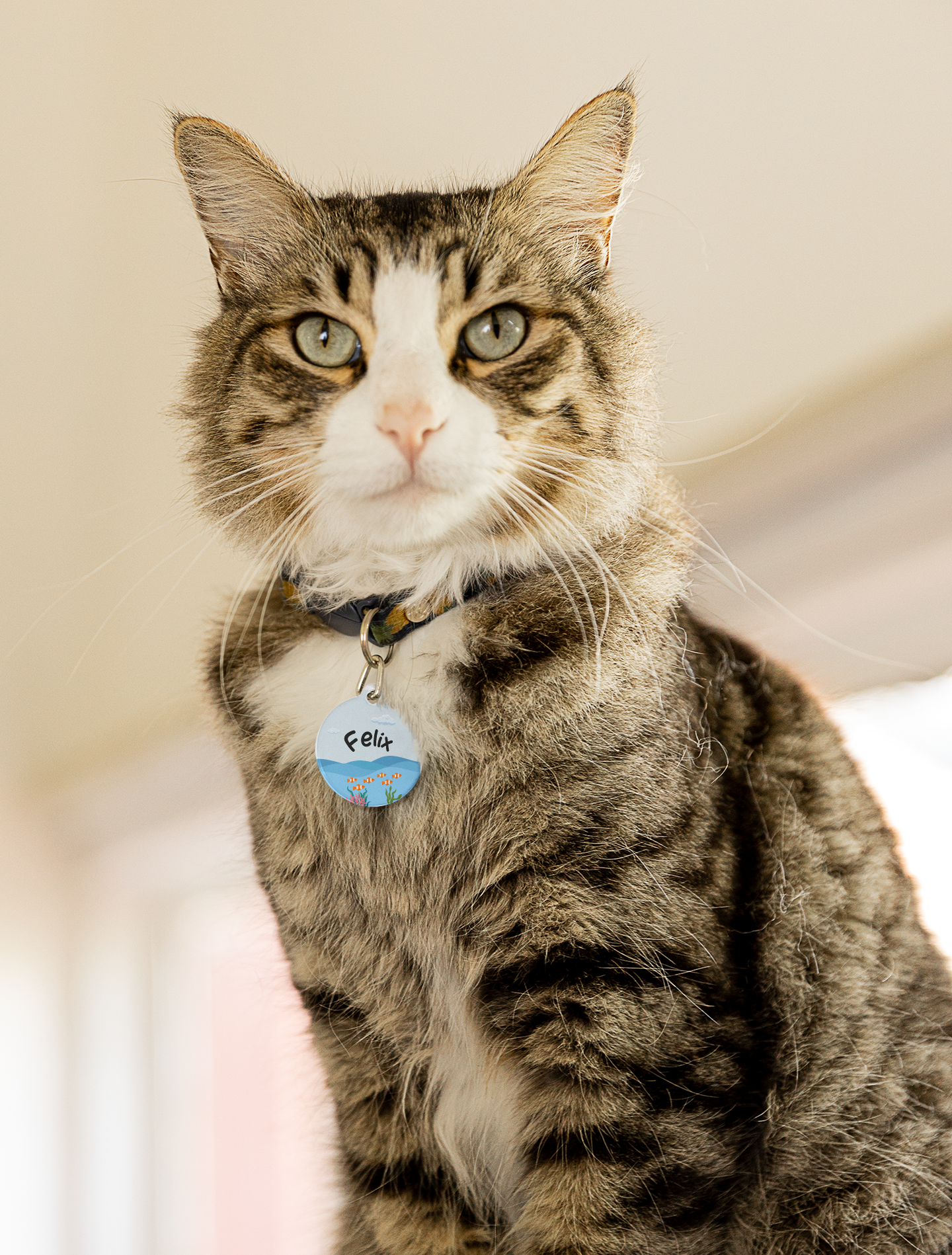 Pet Tag - Funny Cat Id Tag with Floating Cat in Sea Design