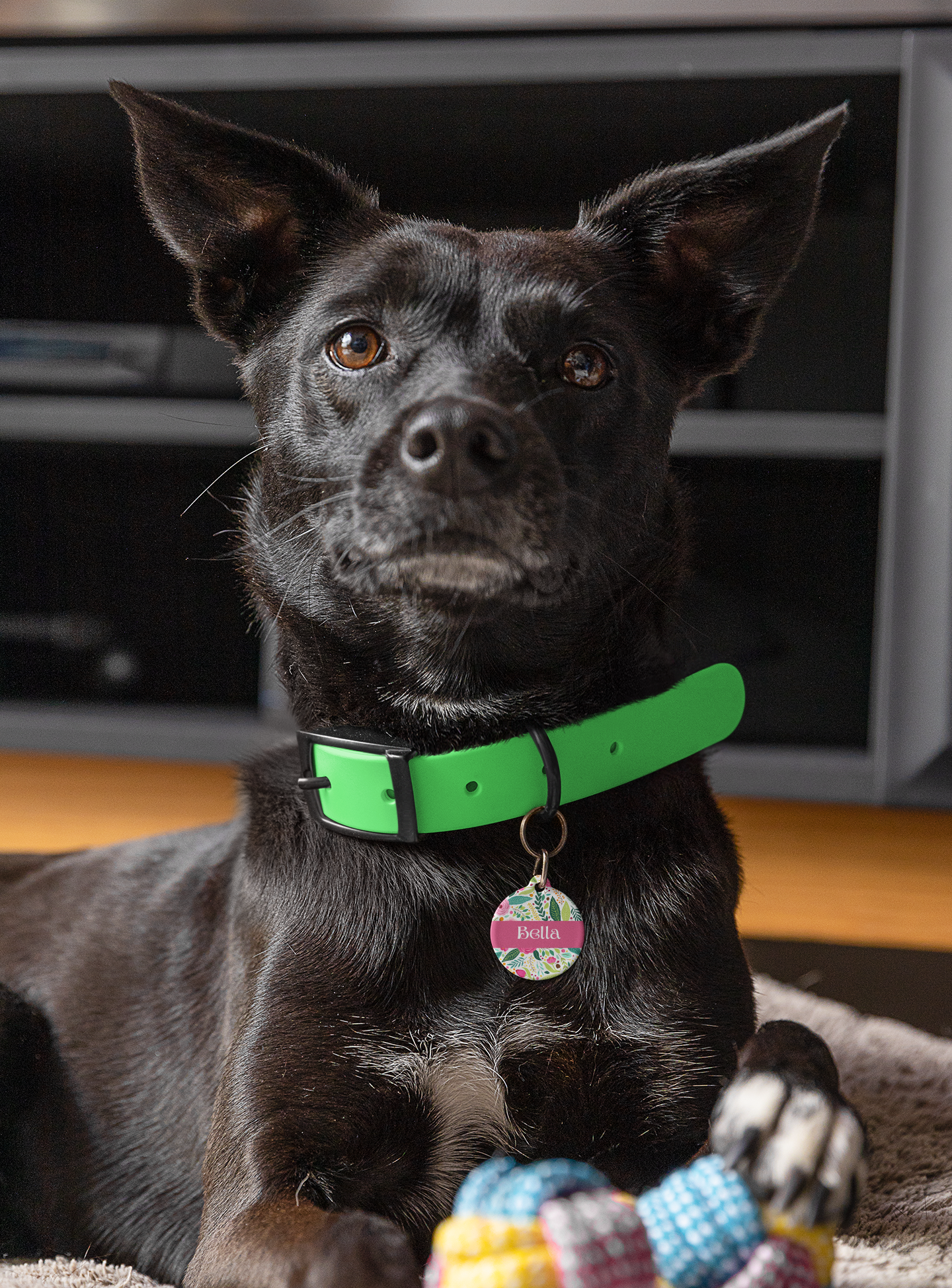 Pet Tag - Floral Pet Id Tag