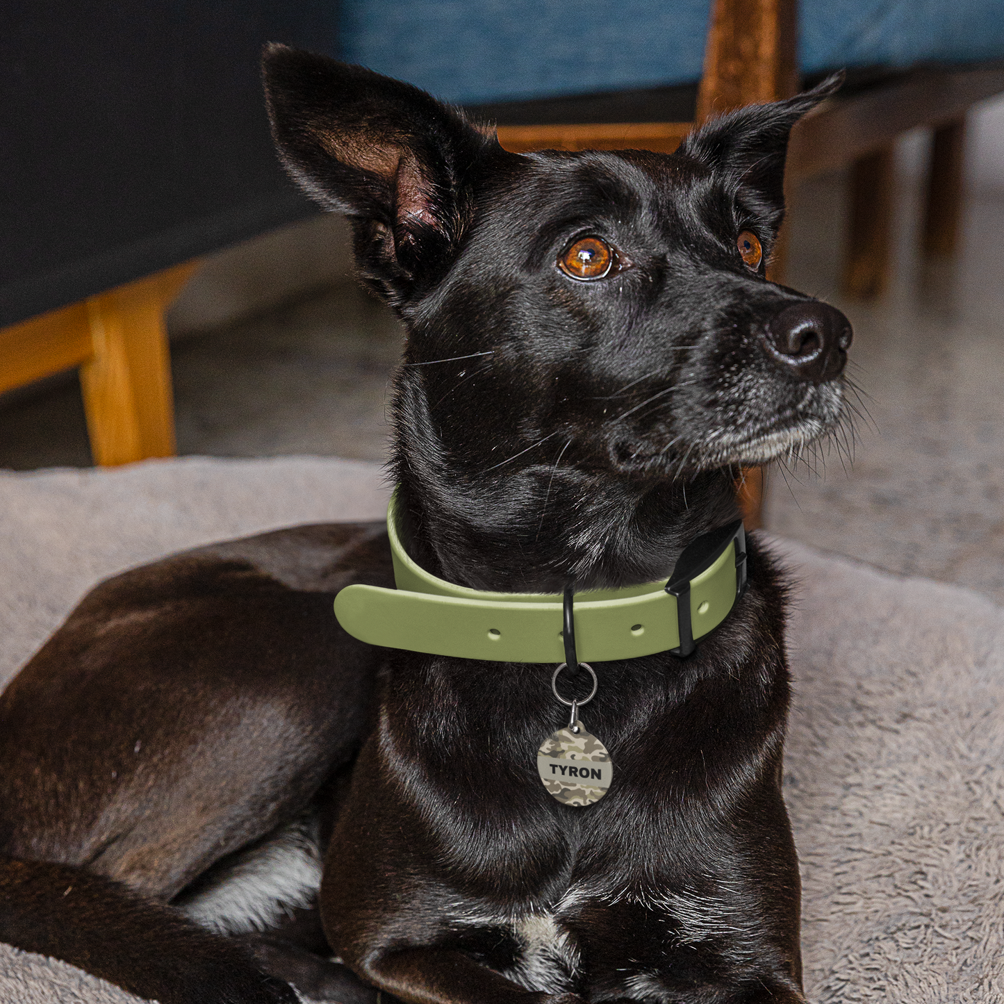 Pet Tag Camuflage Id Tag
