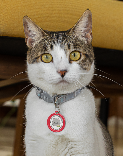 Pet Tag - Do Not Feed On Special Diet for Cats