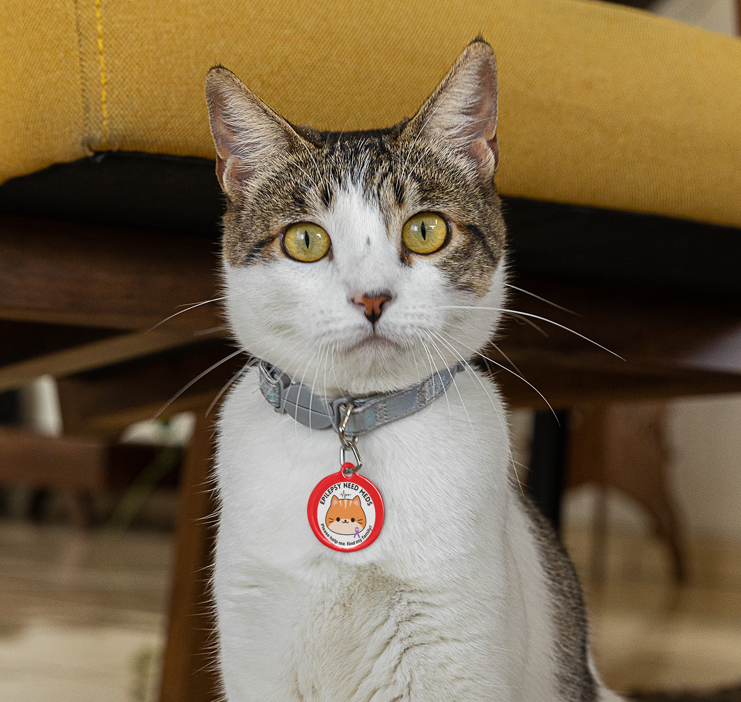 Medical Pet Tag for Cats with Epilepsy