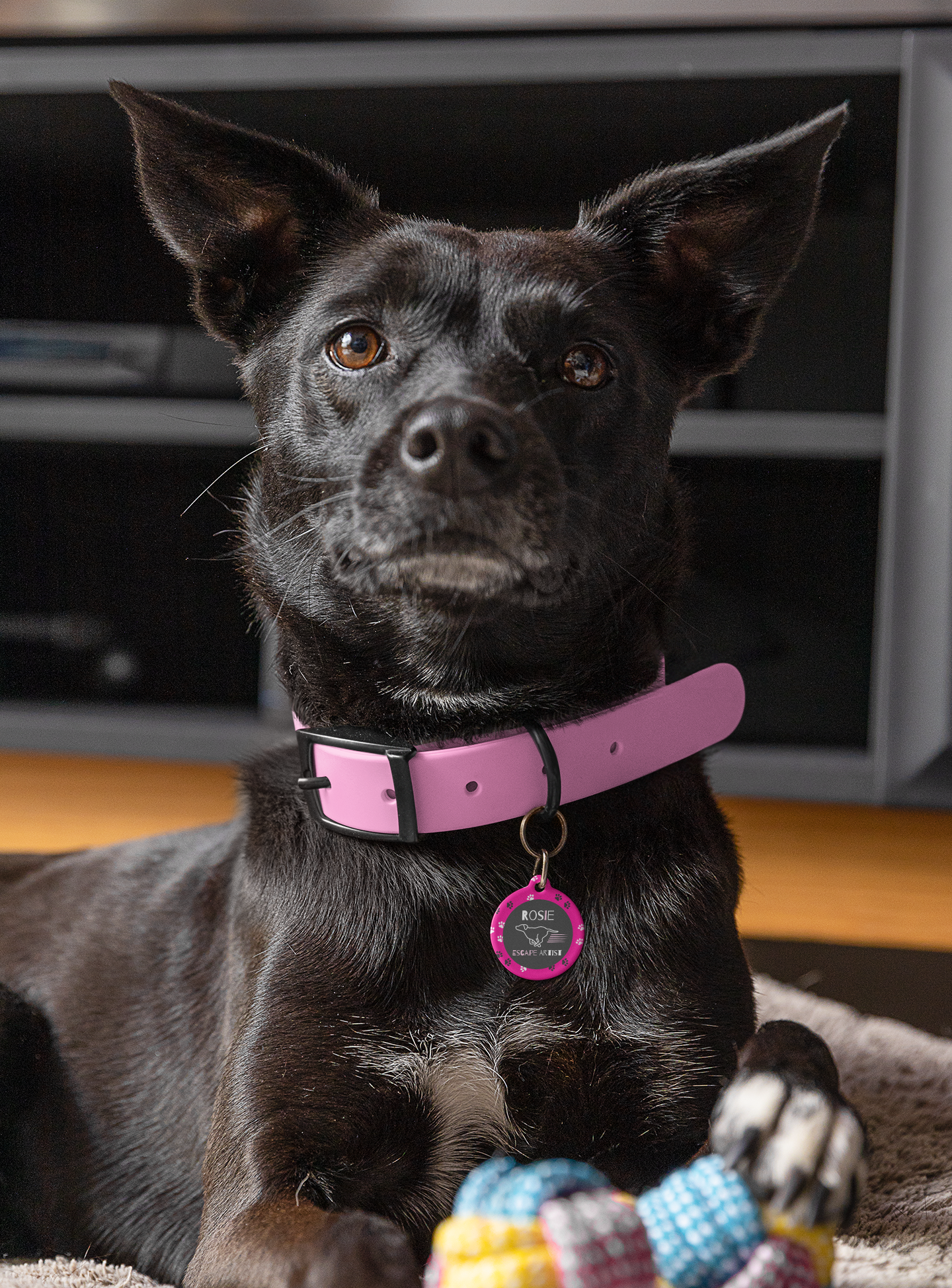 Pet Tag - Funny Escape Artist in Pink for Dogs