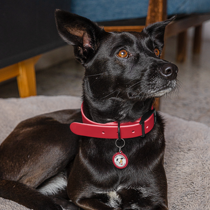 Pet Tag - Medical Id for Dogs with Heart Condition