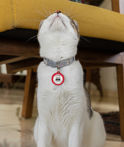 Pet Tag - Medical ID Tag for Blind Cats