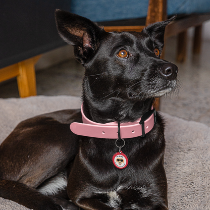 Pet Tag - Medical ID Tag for Blind Dogs
