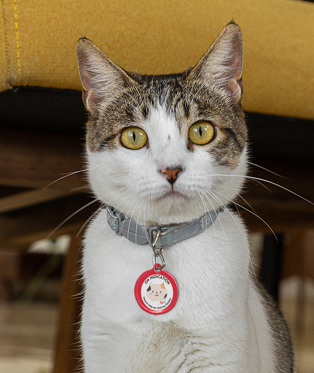 Red personalized On Medication medical pet ID tag for cats featuring a cartoon cat illustration with medication icons and emergency contact information on the reverse side.