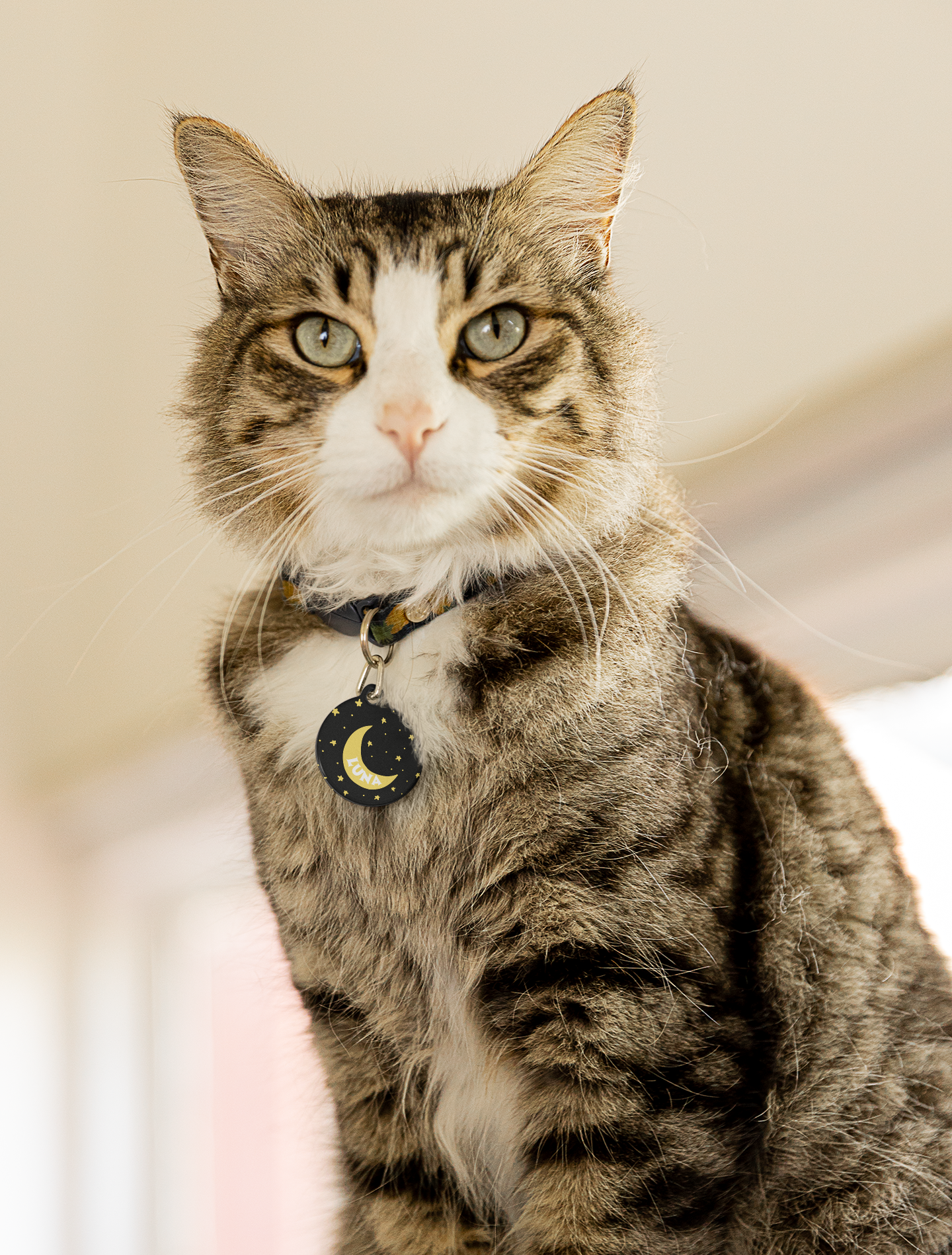 Pet Tag - Moon and Stars Design